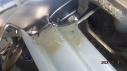 240703 Chevelle (15).JPG